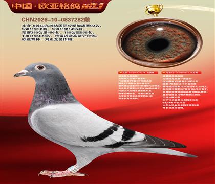 路易斯凡龙778X凡龙333近亲