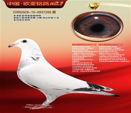 乔思托内白雪公主原舍884X697