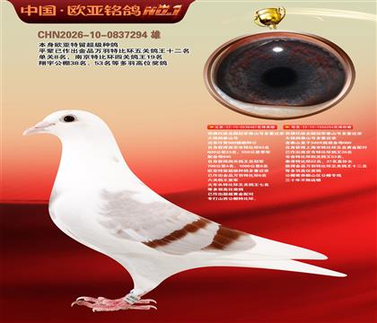 西佛依托全国冠军泰山号多重近亲481X256