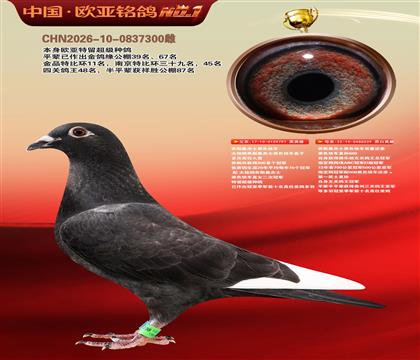 乔斯桑杰士黑色快车797X539