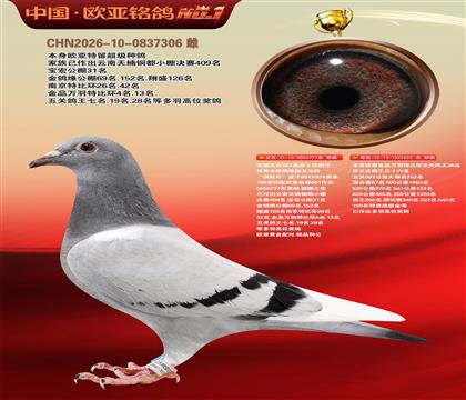 电脑戈马利777X625