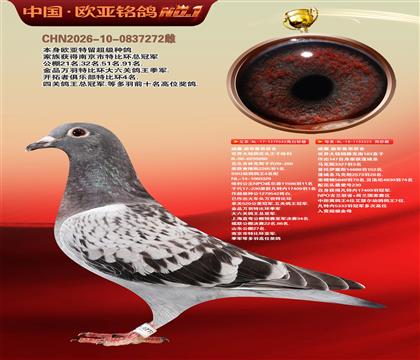威廉.迪布鲁恩原舍哈利542X523