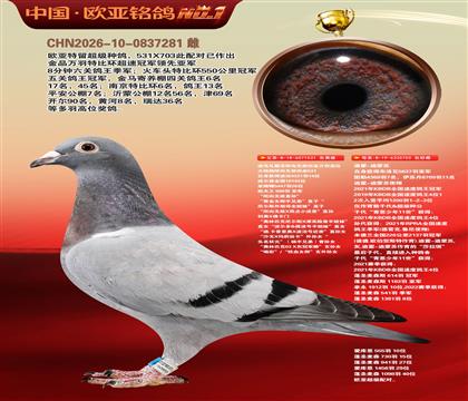迪克凡戴克所向无敌回血531X迪霍迪蒙苏703