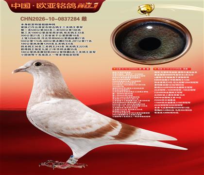 迪克.凡登布克血统基特尔295X基特尔直孙394