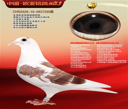 西佛依托全国冠军泰山号多重近亲419X076