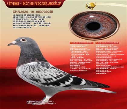 利奥506X杨713直子757X利奥851X818直女697