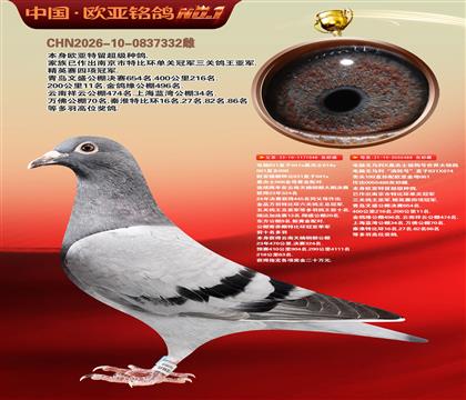 电脑桑杰士048铜都324号X061直女488