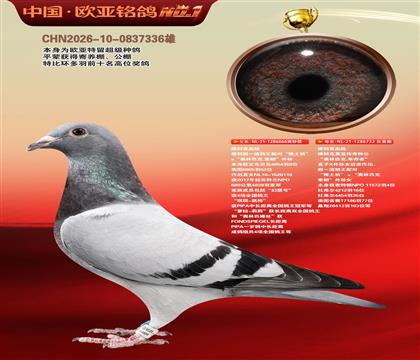 佛科克“推土机”外孙666X“奥林匹克.幸存者”近亲732
