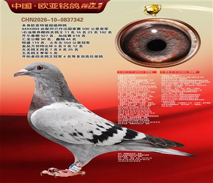 利奥里波尔特亚精顿444X利奥托利麻鹰804