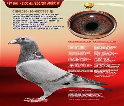 利奥里波尔特亚精顿444X利奥托利麻鹰804