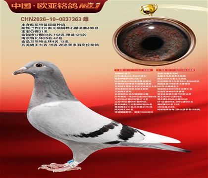 电脑桑杰士048X电脑戈马利453