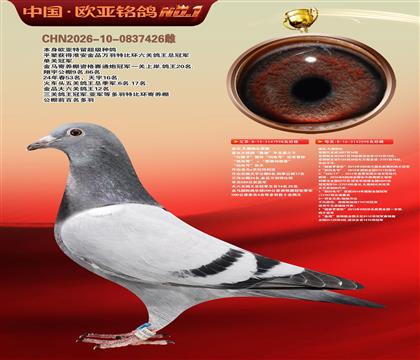 盖比原舍鲁迪998X鲁迪直女098
