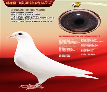 乔斯托内白雪公主683X209
