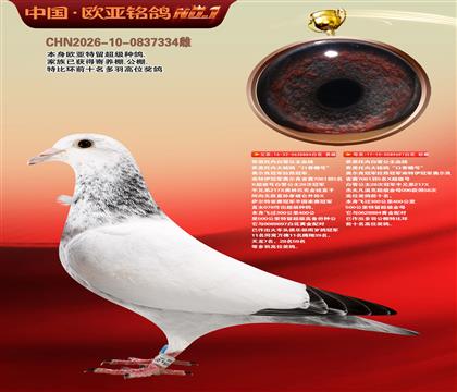 乔思托内白雪公主原舍884X697