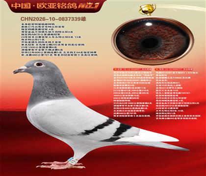 电脑097国家赛1500公里4名X桑杰士777