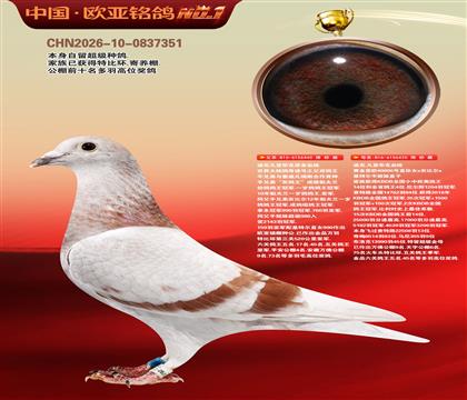 迪克凡登布克原舍440X黄金黑欧40000号