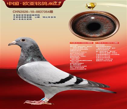 佛科克“推土机”外孙666X“奥林匹克.幸存者”近亲732