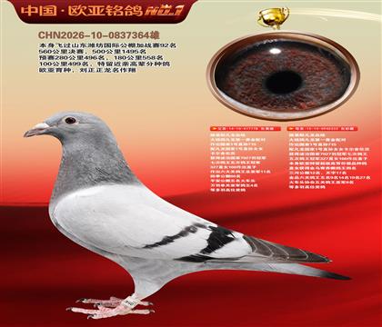 路易斯凡龙778X凡龙333近亲