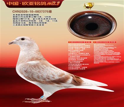 迪克凡登布克原舍奇迹号362X40000号435