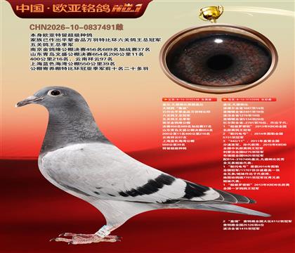 盖比原舍鲁迪148X鲁迪098