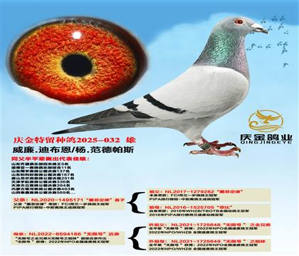 威廉.迪布恩“墨菲定律”直子x杨.范德帕斯“无限号”近亲