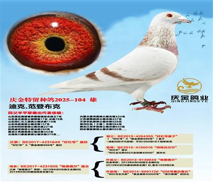 迪克.范登布克“好红号”直孙x“格里佩”直女