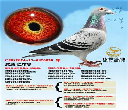 威廉.迪布恩“墨菲定律”直子x“奥林匹克飓风号”直女