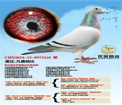 盖比.凡德纳比“鲁迪”直子x“超级罗密欧”直女