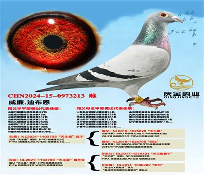 威廉.迪布恩“天王星”直子x“天王星”直孙女