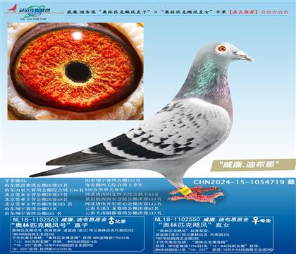 威廉.迪布恩“奥林匹克飓风直子”ד奥林匹克飓风直女”平辈