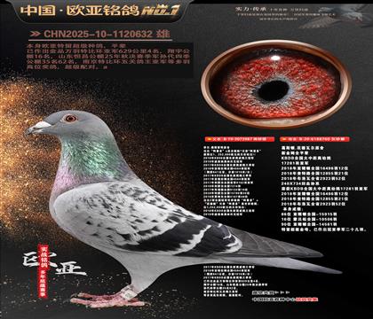 乔尔佛斯豪特原舍987X葛斯顿原舍760