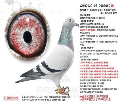 开尔:安迪直女