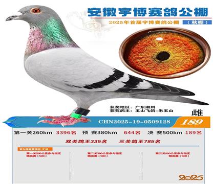 公棚决赛189名