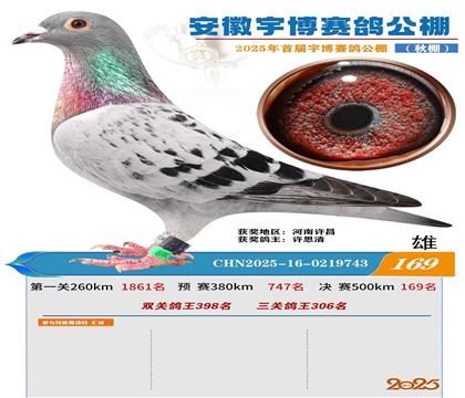 公棚决赛169