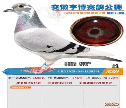 公棚决赛320名