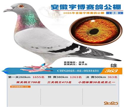 公棚决赛363名
