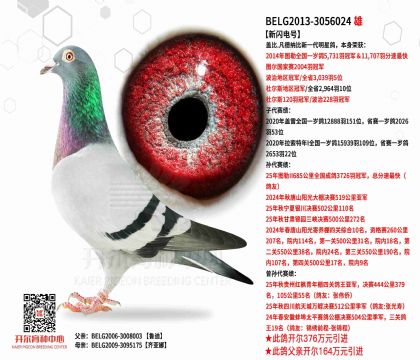 2父亲-3056024