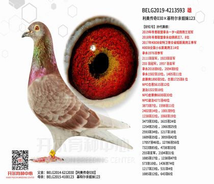 2父亲-4213593