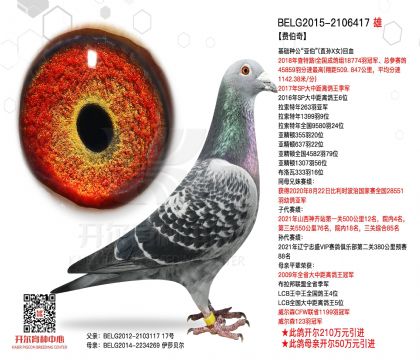 2父亲-2106417