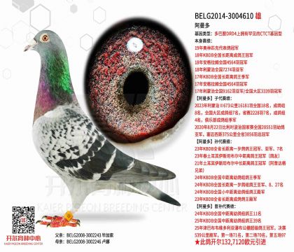 3外祖父-3004610