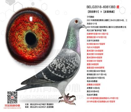3母亲-6061383