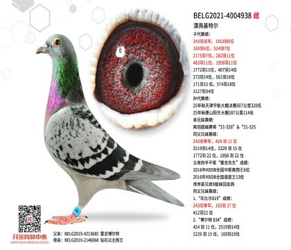 3母亲-4004938