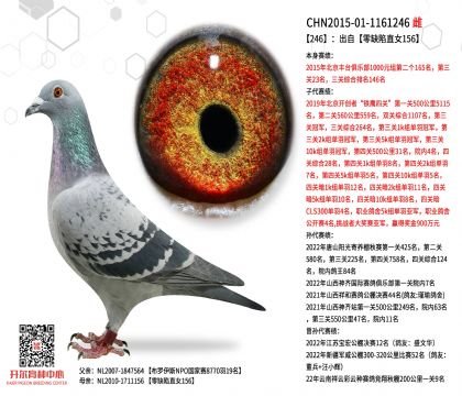 3母亲-1161246