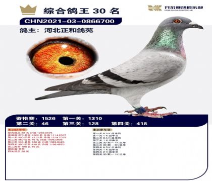 2母亲-0866700