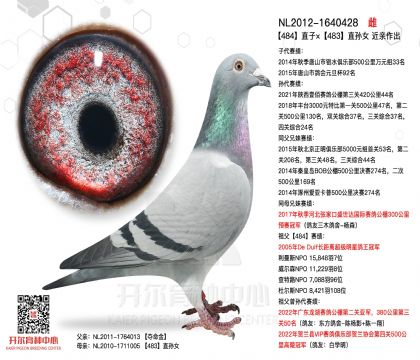 3母亲-1640428