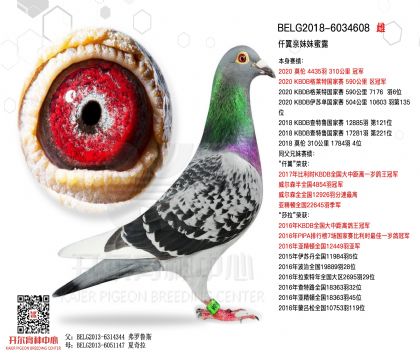 3母亲-6034608