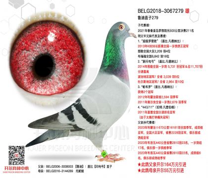 4父亲-3067279