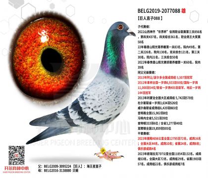 4父亲-2077088