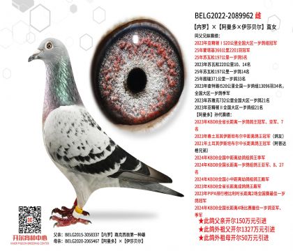 4母亲-2089962
