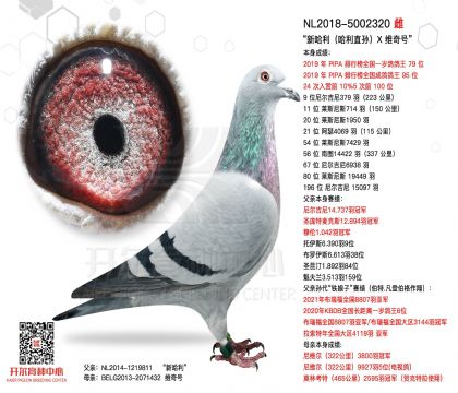 5母亲-5002320